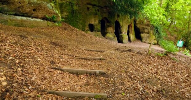 Ein seltener Fund: Im Wald wurde eine Höhle entdeckt, die vor 900 Jahren von einem Einsiedler erbaut wurde