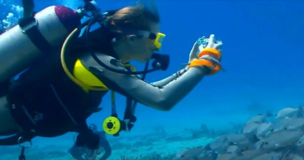 Ein Taucher findet eine Kamera im Meer: Nachdem er sich die Bilder angesehen hat, macht er sich auf die Suche nach dem Besitzer