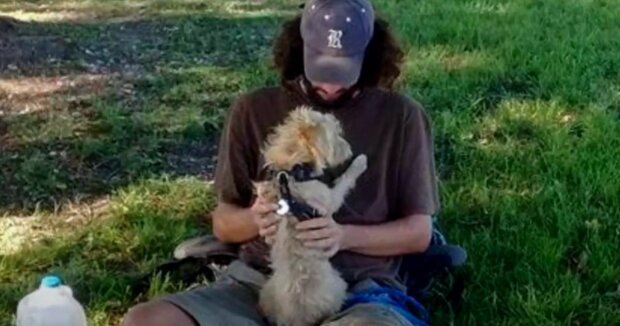 Obdachloser Mann bittet um Hilfe für seinen Hund: Eine freundliche Frau kommt ihm zu Hilfe