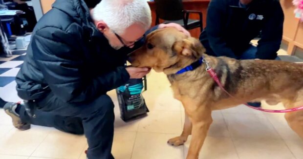 Der Hund weigert sich, das Tierheim zu verlassen, ohne jeden Mitarbeiter zum Abschied zu küssen