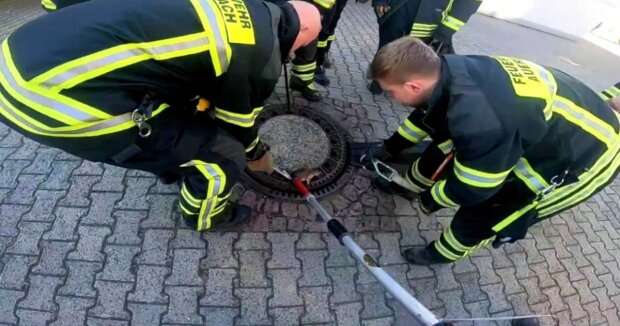 In Deutschland haben Feuerwehrleute eine ungewöhnliche Rettungsaktion durchgeführt, um ein Eichhörnchen zu befreien, das in einer Luke feststeckte