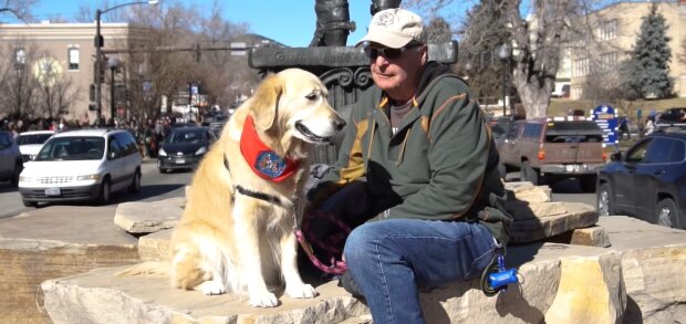 Tausende Golden Retriever versammelten sich zu einer Veranstaltung zur Feier ihrer Rasse