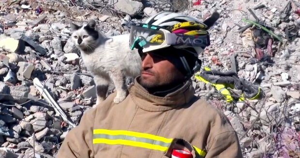 Ein türkischer Radrennfahrer nahm einen Kater in sein Zuhause auf, den er nach 129 Stunden unter Trümmern gerettet hatte