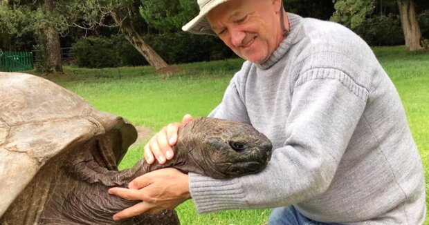 Große Torte und 3 Tage Party: Die älteste Schildkröte der Welt feierte ihren 190. Geburtstag