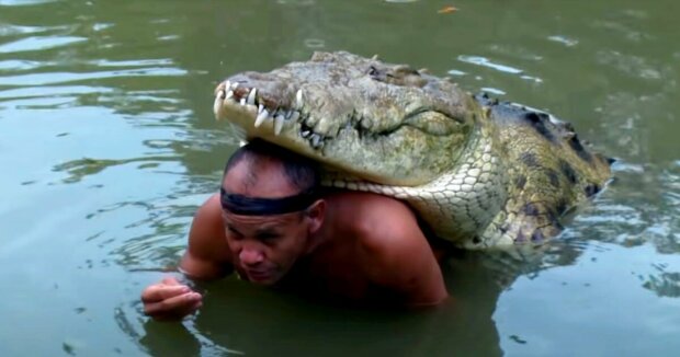 Der Fischer rettete ein Krokodil und ließ es frei: Es kehrte zurück und wollte den Mann nicht mehr verlassen