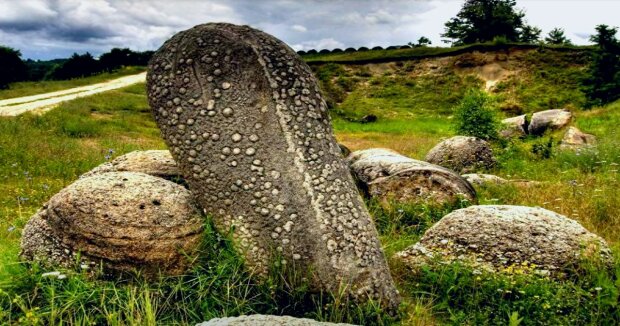 In Rumänien wurden “lebende Steine” entdeckt, die sich vermehren und alle 1000 Jahre um 5 cm wachsen