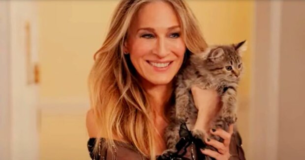 Sarah Jessica Parker beschloss, ein Kätzchen vom Set zu adoptieren