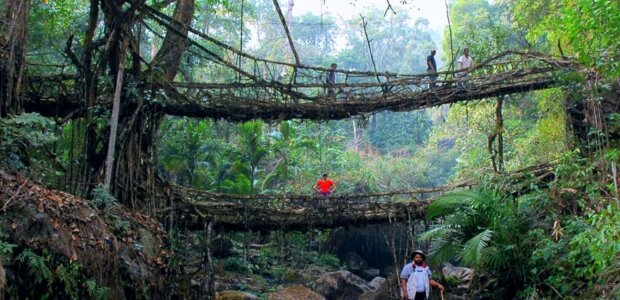 Im Himalaya lässt ein Stamm Brücken wie Bäume wachsen, anstatt sie zu bauen: In 15 Jahren entsteht eine lebendige Brücke über den Fluss