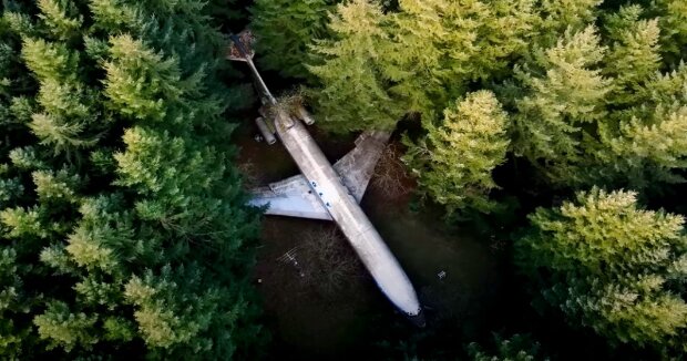 Ein Rentner kaufte ein verlassenes Flugzeug, weil es billiger war als ein Zimmer in seiner Stadt, und begann, darin mitten im Wald zu leben