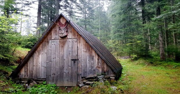 Der Förster fand im Dickicht eine ungewöhnliche Hütte: nach 5 Tagen war nur ein seltsames Symbol an der Stelle des Hauses