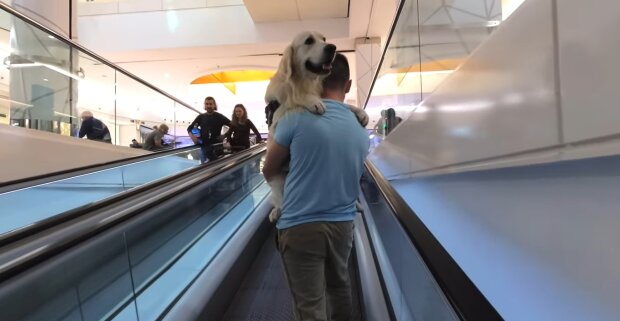 Hundebesitzer trägt treuen Gefährten im Rucksack: Eine berührende Geschichte der bedingungslosen Liebe