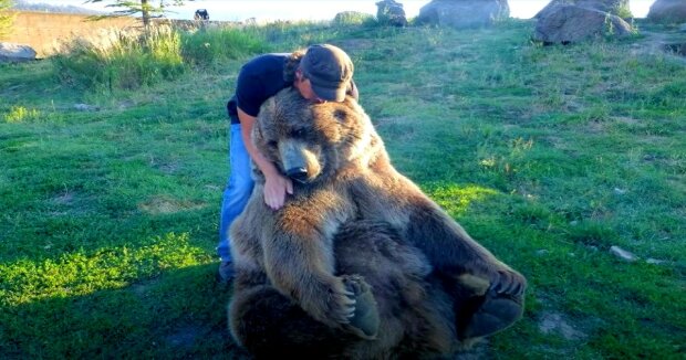 Der Mann nahm ein schwaches Bärenjunges aus dem Zoo und begann, es als Welpen aufzuziehen: ihre Freundschaft dauert bereits 3 ​​Jahren