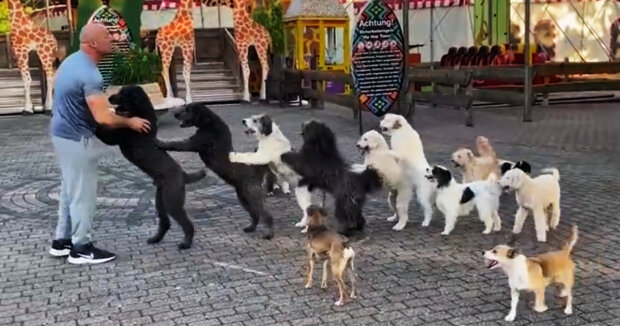 Bereit zum Conga-Tanz: Wolfgang Lauenburger, der deutsche Hundetrainer, hat einen neuen Rekord aufgestellt