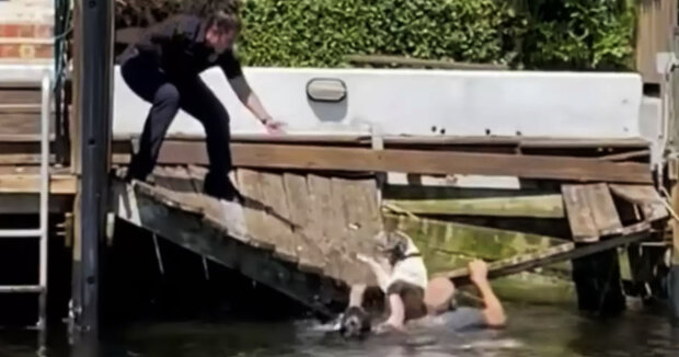 Menschen sprangen ins Wasser, um einen Hund zu retten, der auf der Suche nach einem Abenteuer in den Kanal gefallen war