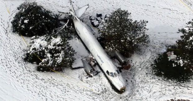 Ein Flugzeug mit 53 Hunden an Bord ist auf einem Golfplatz in den USA gelandet: Die Maschine rutschte mehrere Meter über den Rasen