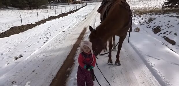 Ein kleines Mädchen bleibt im Schnee stecken, aber das Verhalten des Pferdes bringt alle Herzen zum Schmelzen