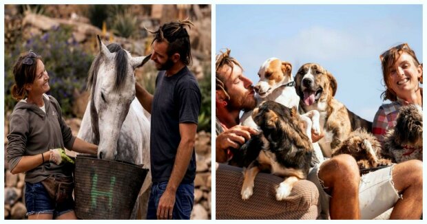 Ein Ehepaar rettete über 500 Tiere, nachdem es seinen Job aufgegeben hatte, um ein Tierheim zu gründen