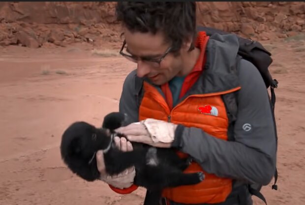 Wanderer finden einen hungrigen Welpen, der in einem Reifen lebt, der mitten in der Wüste entsorgt worden war und schenkten ihm ein neues Leben