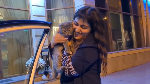 Eine Familie findet ihre geliebte Katze drei Jahre nach ihrem Verschwinden wieder