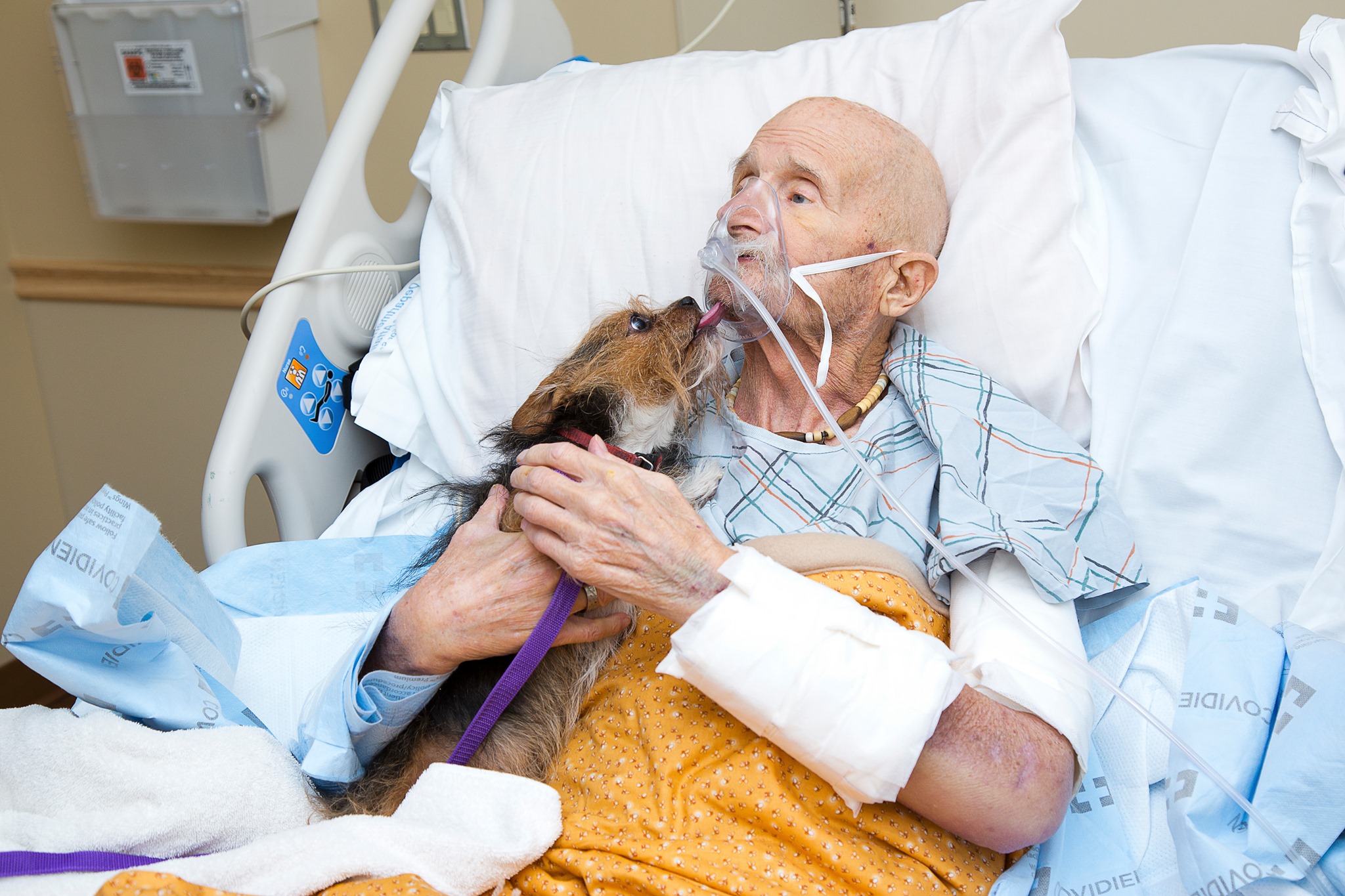“Ich muss unbedingt Zeit haben, mich von ihm zu verabschieden”: ein alter Mann bittet darum, seinen Hund ins Krankenhaus zu bringen
