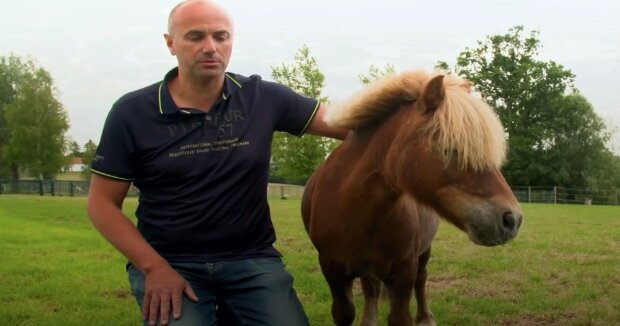 Das Mini-Pferd besuchte seine Nachbarn regelmäßig: das Tier hatte einen wesentlichen Grund