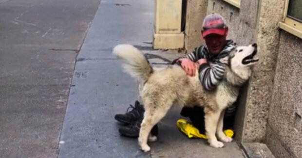 Der Hund besucht den Obdachlosen jeden Tag und ist sein bester Freund geworden