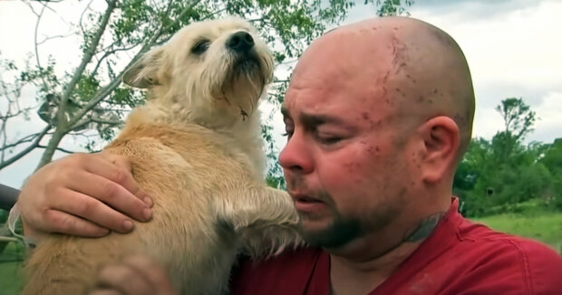 Hund half der Polizei bei der Suche nach seinem Besitzer, der das Haus verlassen hatte und nicht zurückkam