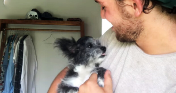 Neue Familie: Mann reist nach Italien, um den Hund zu treffen, den er vor 2 Jahren gerettet hat