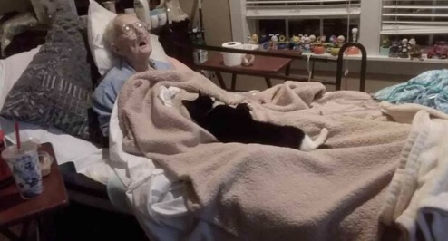 Katze wollte ihre Oma nicht verlassen, selbst in den letzten Stunden des Lebens