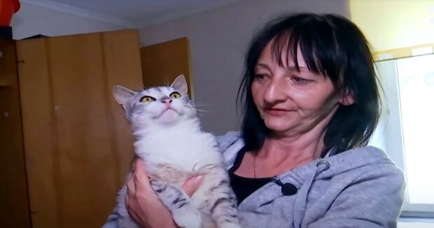 Eine Freiwillige aus der Ukraine konnte zusammen mit 24 Katzen und zwei Hunden evakuieren