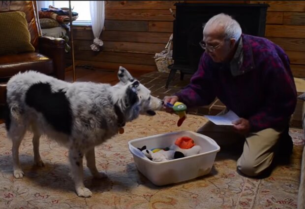 Berührende Verbindung: 90-jähriger Nachbar kommt, um sich von seinem Hund in seinen letzten Tagen zu verabschieden