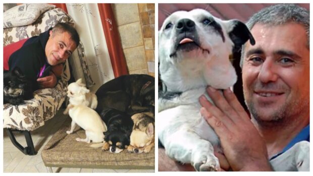 Millionär tauscht Luxusleben gegen streunende Hunde: Er hat jetzt 46 vierbeinige Freunde